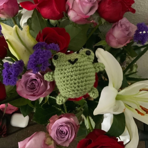 Small green crochet frog friend - Picture 4 of 5